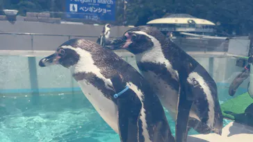 下田海中水族館に投稿された画像（2026/5/25）