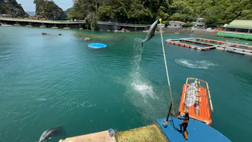 下田海中水族館に投稿された画像（2026/5/25）