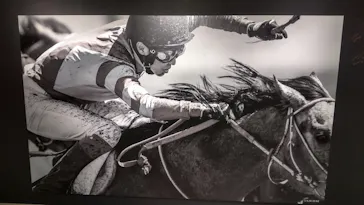 武豊 デビュー40年 ～前人未到の記録～　（銀座三越）に投稿された画像（2026/5/25）
