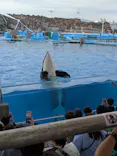 名古屋港水族館に投稿された画像（2026/5/25）