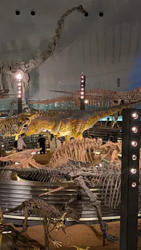 福井県立恐竜博物館に投稿された画像（2026/5/25）