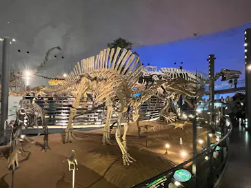 福井県立恐竜博物館に投稿された画像（2026/5/25）