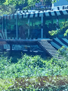 多摩動物公園 ライオンバス乗車券に投稿された画像（2026/5/25）