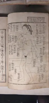 北斎・英泉 艶くらべー歌舞伎町花盛りー新宿歌舞伎町春画展WA 第2回に投稿された画像（2026/5/25）