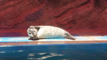 ゼロ距離水族館 伊勢シーパラダイスに投稿された画像（2026/5/25）