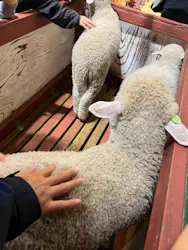 マザー牧場に投稿された画像（2026/5/25）
