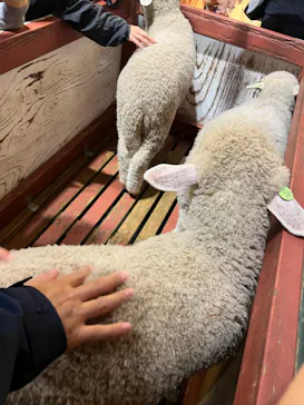 マザー牧場に投稿された画像（2026/5/25）