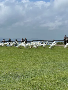 マザー牧場に投稿された画像（2026/5/25）