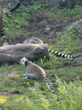 伊豆シャボテン動物公園に投稿された画像（2026/5/25）