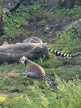 伊豆シャボテン動物公園に投稿された画像（2026/5/25）