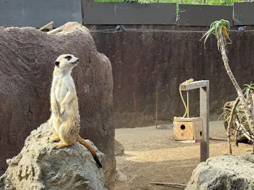 伊豆シャボテン動物公園に投稿された画像（2026/5/25）