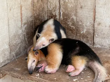 伊豆シャボテン動物公園に投稿された画像（2026/5/25）