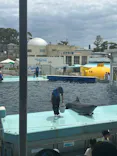 越前松島水族館に投稿された画像（2026/5/25）