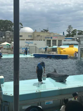 越前松島水族館に投稿された画像（2026/5/25）
