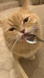 猫カフェモカ　イオンモール筑紫野店に投稿された画像（2026/5/25）