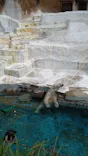 天王寺動物園に投稿された画像（2026/5/25）