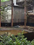 恩賜上野動物園に投稿された画像（2026/5/25）