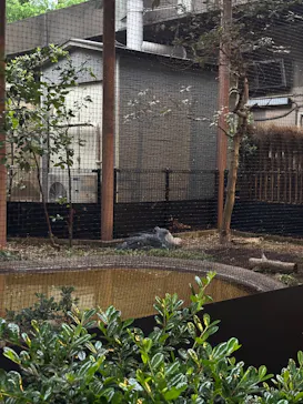 恩賜上野動物園に投稿された画像（2026/5/25）