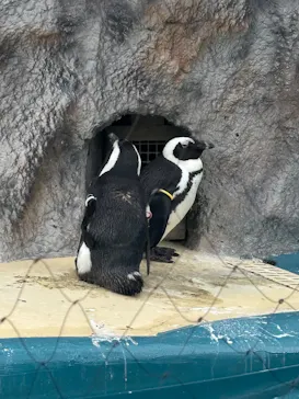 恩賜上野動物園に投稿された画像（2026/5/25）