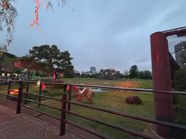 恩賜上野動物園に投稿された画像（2026/5/25）