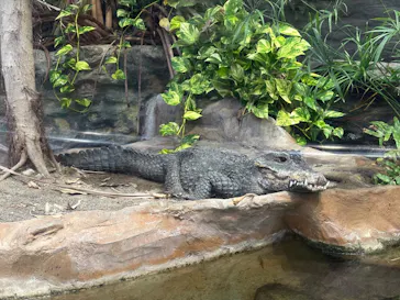 恩賜上野動物園に投稿された画像（2026/5/25）