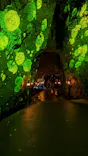 CAVE OKINAWAに投稿された画像（2026/5/25）