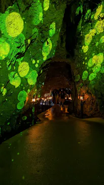 CAVE OKINAWAに投稿された画像（2026/5/25）