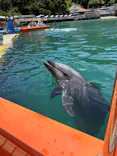 下田海中水族館に投稿された画像（2026/5/25）