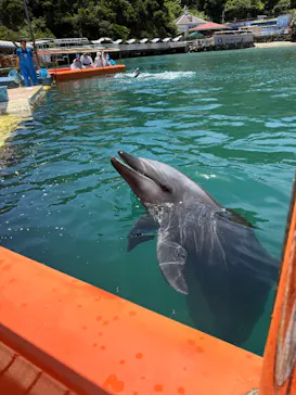 下田海中水族館に投稿された画像（2026/5/25）