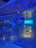 すみだ水族館に投稿された画像（2026/5/25）