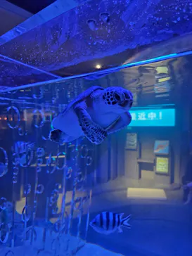 すみだ水族館に投稿された画像（2026/5/25）
