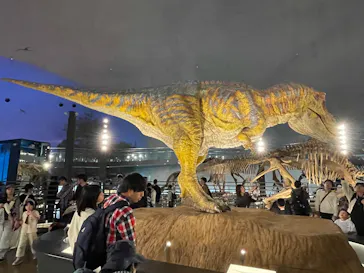 福井県立恐竜博物館に投稿された画像（2026/5/25）