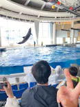 アクアワールド茨城県大洗水族館に投稿された画像（2026/5/26）