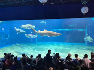 アクアワールド茨城県大洗水族館に投稿された画像（2026/5/26）