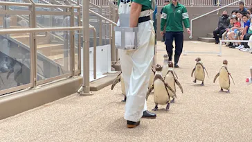 アクアワールド茨城県大洗水族館に投稿された画像（2026/5/26）