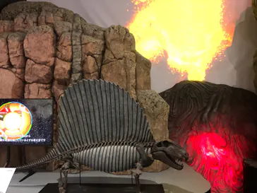 大絶滅展ー生命史のビッグファイブ（名古屋会場）に投稿された画像（2026/5/26）