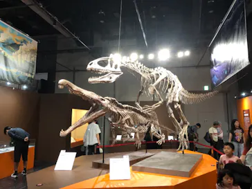 大絶滅展ー生命史のビッグファイブ（名古屋会場）に投稿された画像（2026/5/26）
