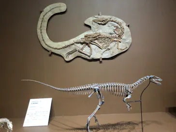 大絶滅展ー生命史のビッグファイブ（名古屋会場）に投稿された画像（2026/5/26）