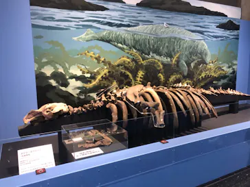 大絶滅展ー生命史のビッグファイブ（名古屋会場）に投稿された画像（2026/5/26）
