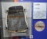 大絶滅展ー生命史のビッグファイブ（名古屋会場）に投稿された画像（2026/5/26）