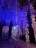 動き出す妖怪展 TOKYO 〜Imagination of Japan〜に投稿された画像（2026/5/26）