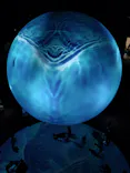 NIFREL（ニフレル）に投稿された画像（2026/5/26）