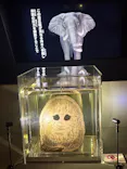 特別展「超危険生物展　科学で挑む生き物の本気」に投稿された画像（2026/5/26）