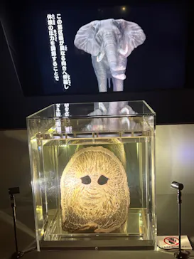 特別展「超危険生物展　科学で挑む生き物の本気」に投稿された画像（2026/5/26）
