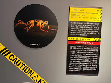 特別展「超危険生物展　科学で挑む生き物の本気」に投稿された画像（2026/5/26）