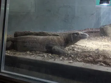 名古屋市東山動植物園に投稿された画像（2026/5/26）