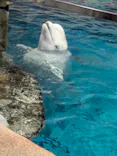 名古屋港水族館に投稿された画像（2026/5/26）