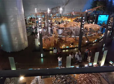 福井県立恐竜博物館に投稿された画像（2026/5/26）