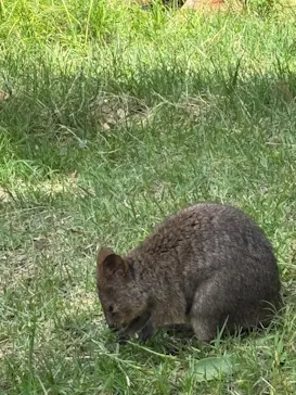 こども動物自然公園（埼玉県公園緑地協会）に投稿された画像（2026/5/26）