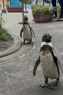 こども動物自然公園（埼玉県公園緑地協会）に投稿された画像（2026/5/26）
